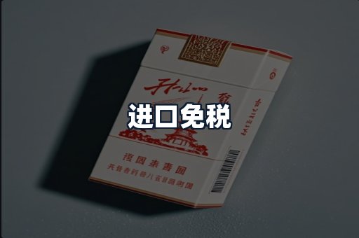 进口免税